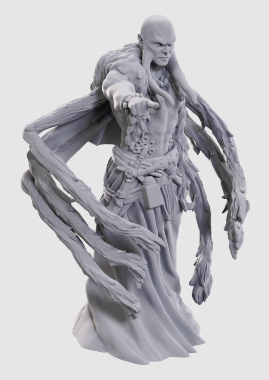 Dungeons & Dragons: Unpainted Miniatures - Kraken Priest (W24)