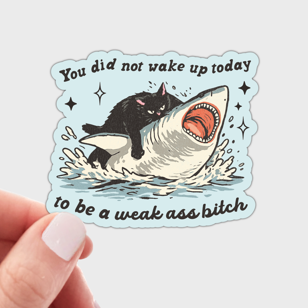 Sticker - You Did Not Wake Up Today