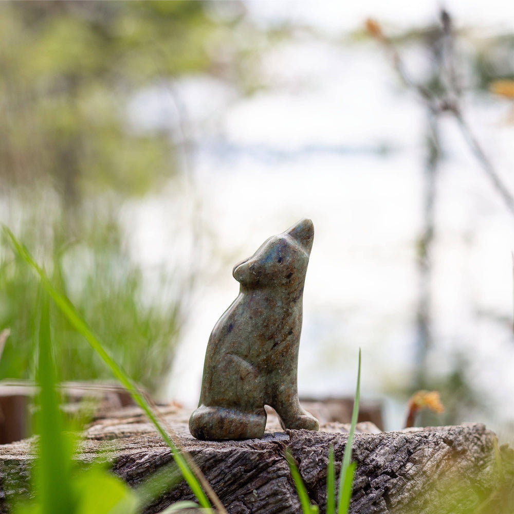 Soapstone Carving Kit - Wolf