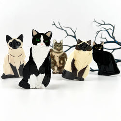 Hair Clip - Creative Black/White Cat