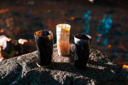 Drinking Horn Beer Stein - Plain