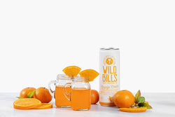 Cane Sugar Craft Soda - Orange Cream