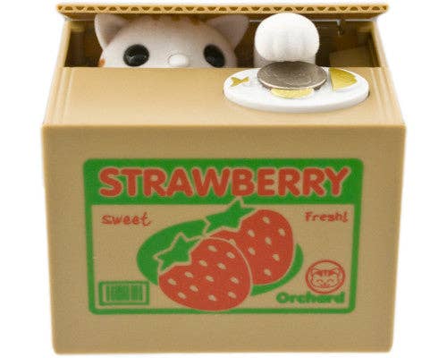 Coin Bank - Cat Hiding In Box