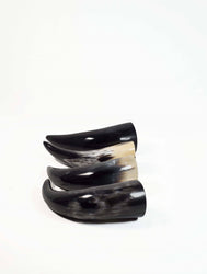 Drinking Horn Set with Stand