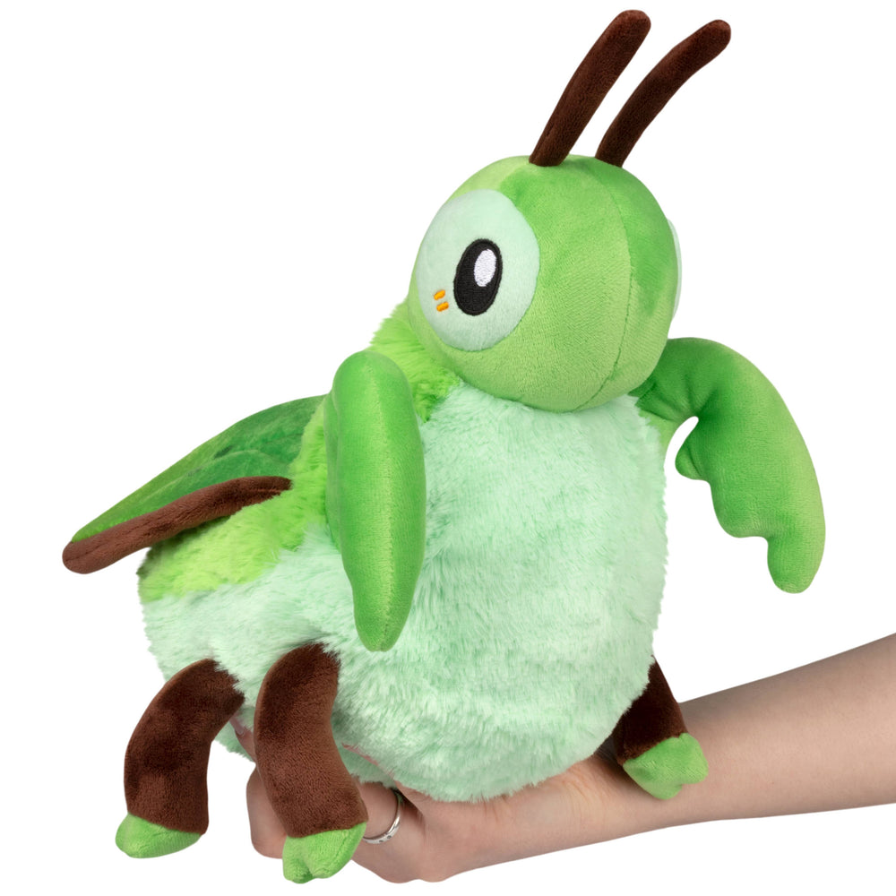 Mini Squishable - Praying Mantis