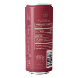 Cane Sugar Craft Soda - Apple Pie