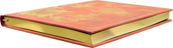 Orange Fairy Journal