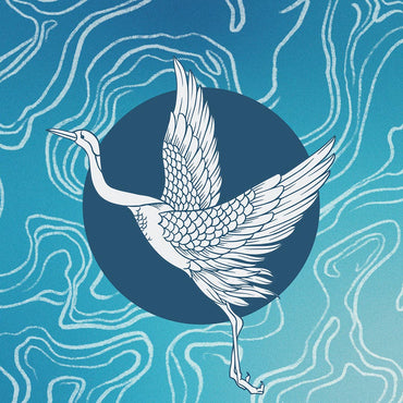 Ambience Spray - Flight Potion