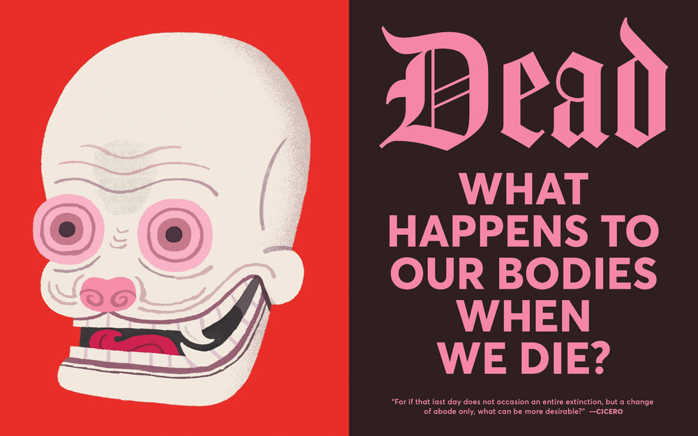 Curious Coffins and Riveting Rituals