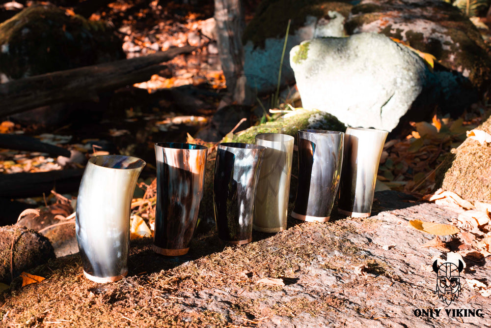 Drinking Horn Beer Stein - Plain