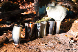Drinking Horn Beer Stein - Plain
