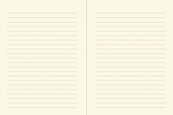 Orange Fairy Journal