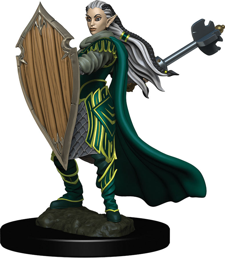 Dungeons & Dragons: Painted Miniatures - Elf Paladin Female (W4)