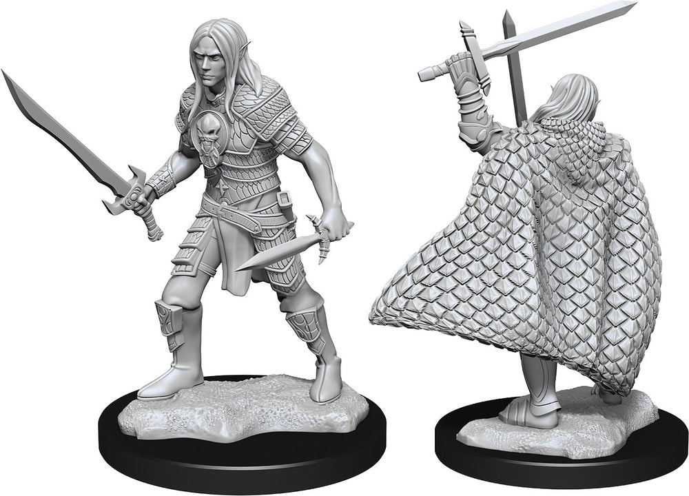 Pathfinder: Unpainted Miniatures - Elf Fighter Male (W13)