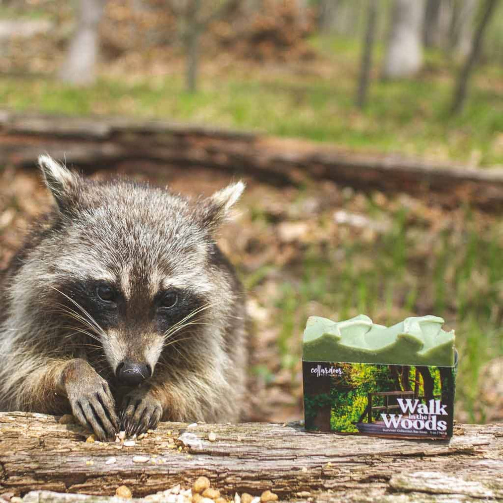 Bar Soap - Walk in the Woods
