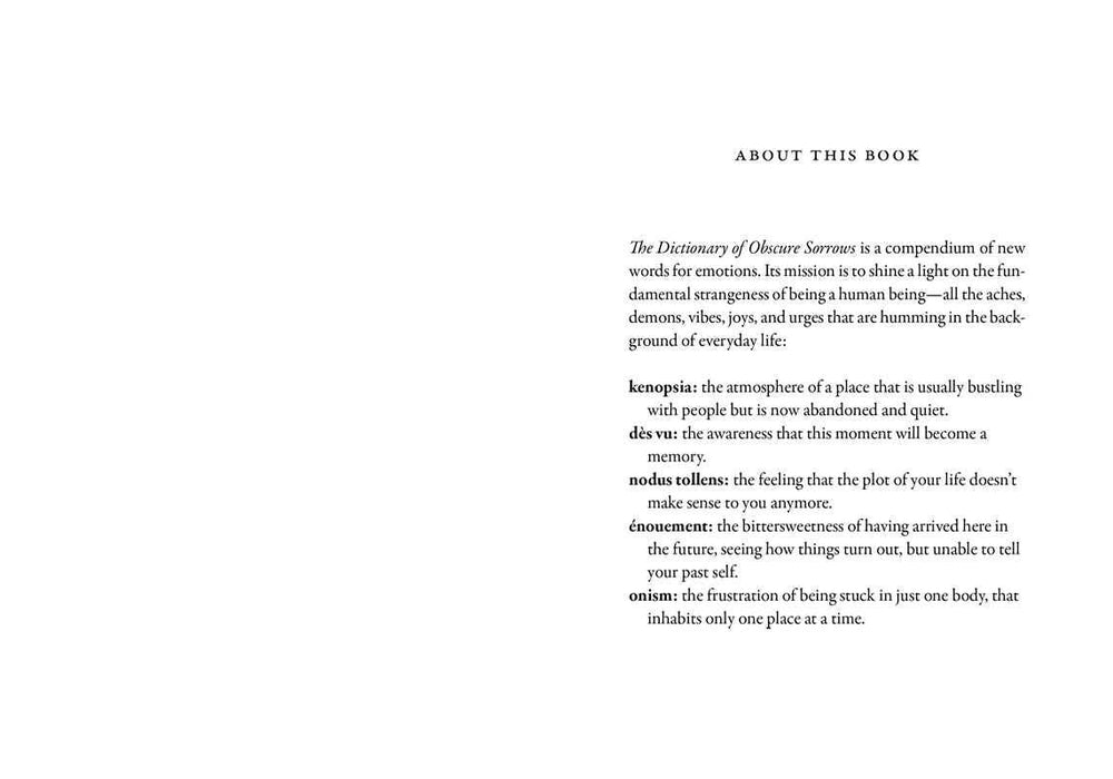 Dictionary of Obscure Sorrows by John Koenig