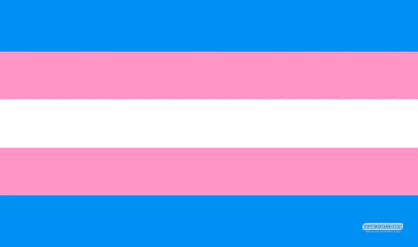 Playmat - Transgender Flag