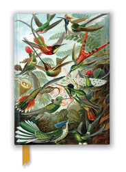 Foiled Journal - Hummingbirds (Ernst Haeckel)
