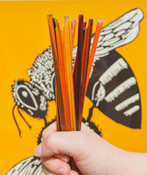 Honey Sticks - Variety Pack (16)