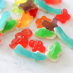 Gummy Candies - Colorful Animals