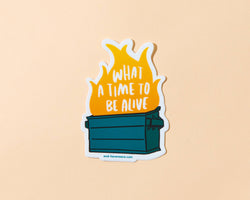 Vinyl Sticker - Dumpster Fire