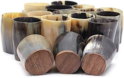 Drinking Horn Shot Glass