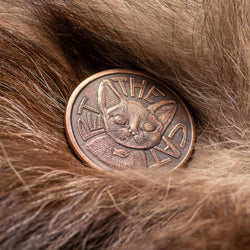 Pet the Cat / Flip Again Copper Decision Maker Coin