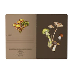 Mushrooms Notebook (Black)