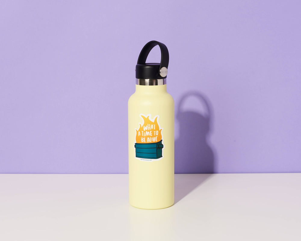 Vinyl Sticker - Dumpster Fire