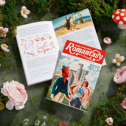 Make Your Own Romantasy Book