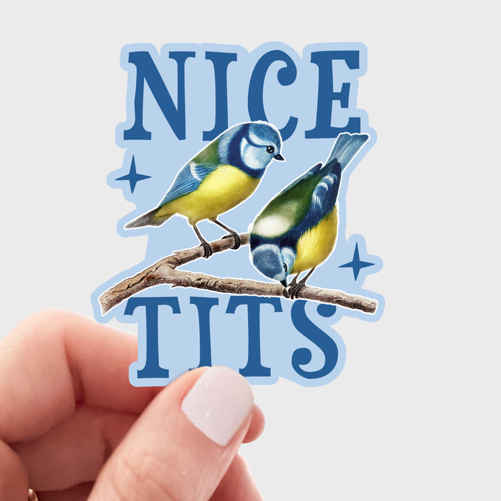 Vinyl Sticker - Nice Tits