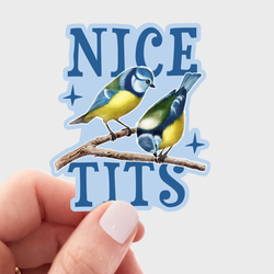 Vinyl Sticker - Nice Tits