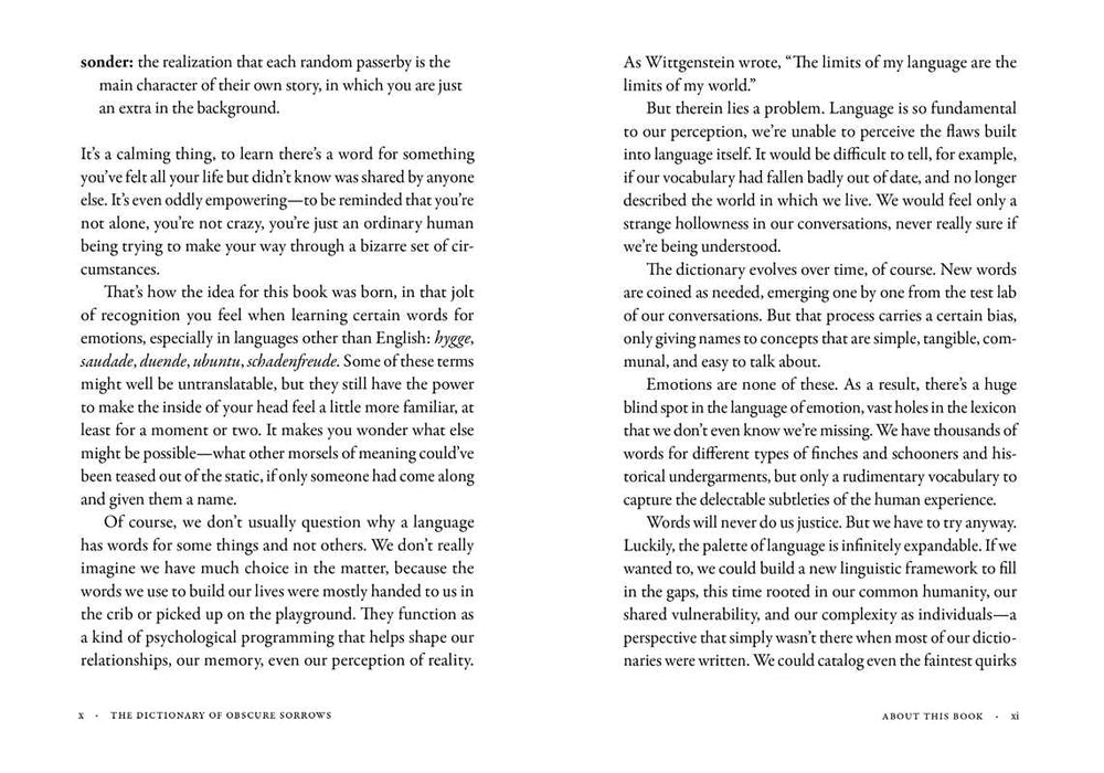Dictionary of Obscure Sorrows by John Koenig