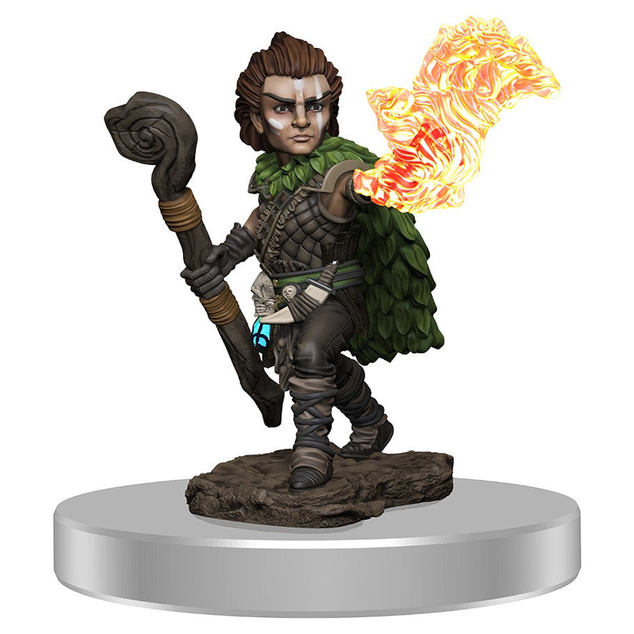 Pathfinder: Painted Miniatures - Male Gnome Druid (W3)