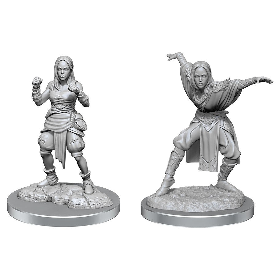Pathfinder: Unpainted Miniatures - Half-Elf Monk Females (W21)