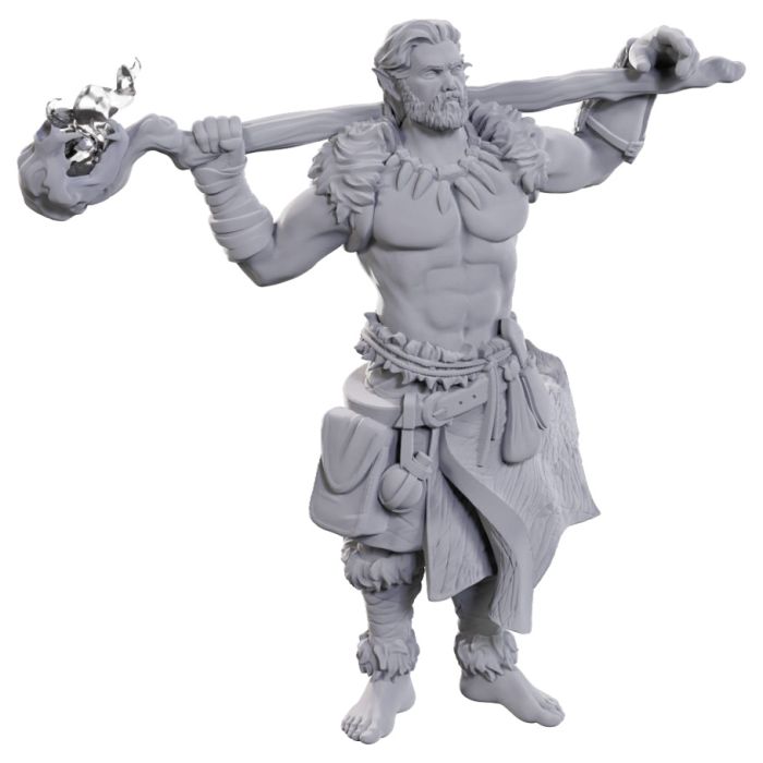Dungeons & Dragons: Unpainted Miniatures - Archdruid & Martial Arts Adept (W24)