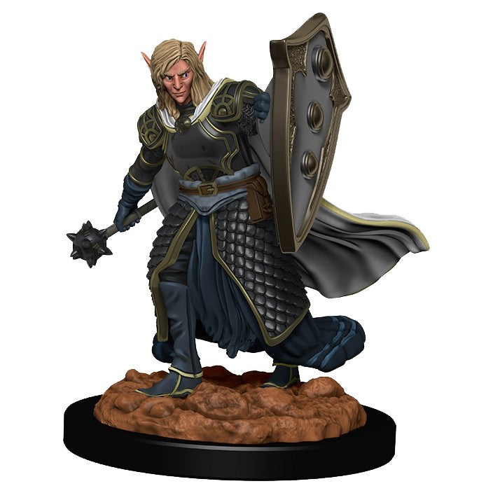 Dungeons & Dragons: Painted Miniatures - Elf Male Cleric (W2)