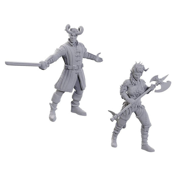 Dungeons & Dragons: Baldur's Gate 3 Unpainted Miniatures - Wyll & Karlach