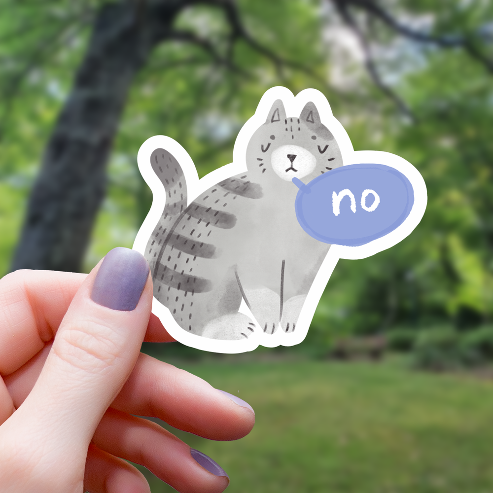 Vinyl Sticker - No Cat Funny Angry Cat