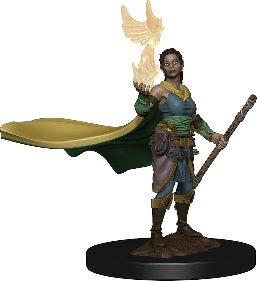 Dungeons & Dragons: Painted Miniatures - Elf Druid Female (W1)
