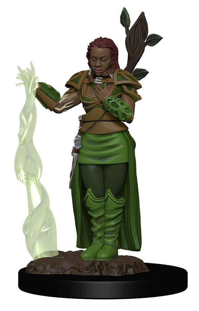 Dungeons & Dragons: Painted Miniatures - Human Druid Female (W2)