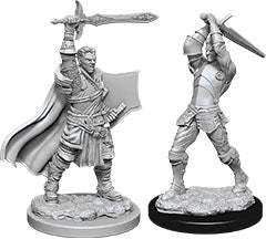 Dungeons & Dragons: Unpainted Miniatures - Human Paladin Male (W12)