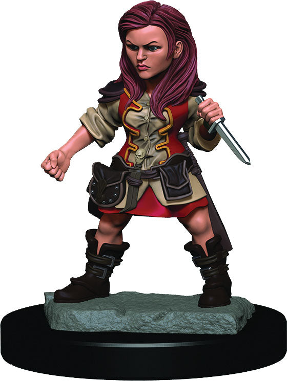 Dungeons & Dragons: Painted Miniatures - Halfling Rogue Female