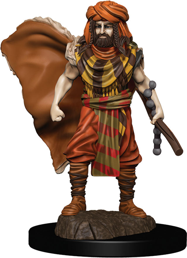 Dungeons & Dragons: Painted Miniatures - Human Druid Male (W4)