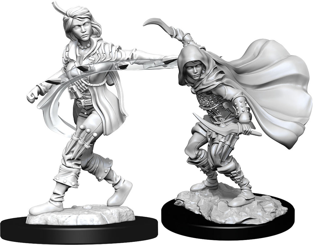 Pathfinder: Unpainted Miniatures - Human Rogue Female (W14)