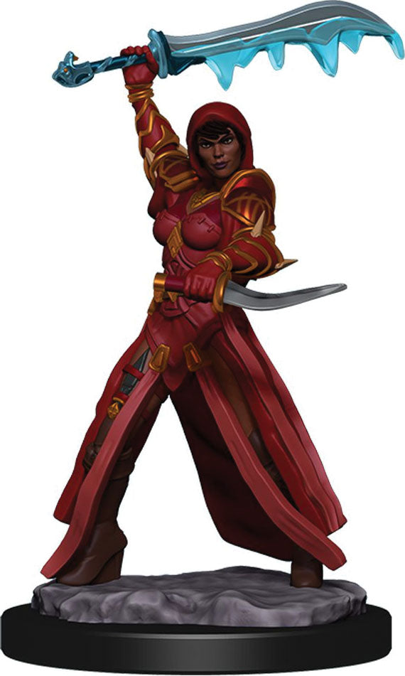 Dungeons & Dragons: Painted Miniatures - Human Rogue Female (W5)
