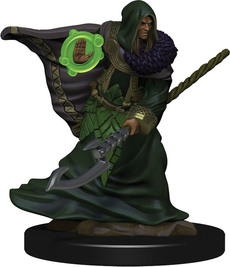 Dungeons & Dragons: Painted Miniatures - Elf Druid Male (W5)