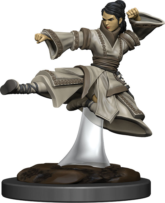 Dungeons & Dragons: Painted Miniatures - Human Monk Female (W6)