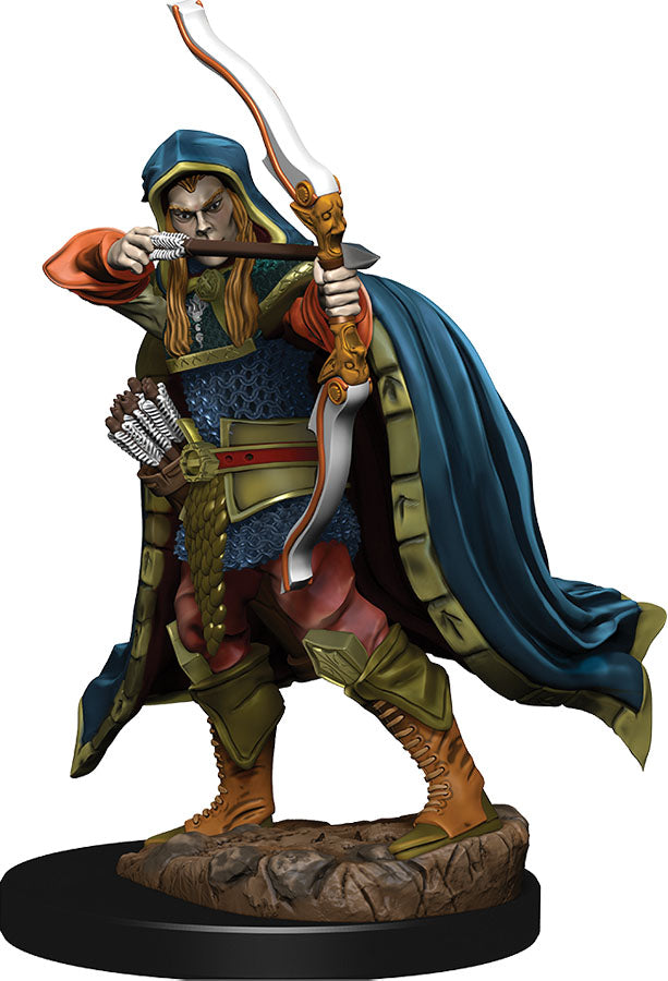 Dungeons & Dragons: Painted Miniatures - Elf Rogue Male (W6)