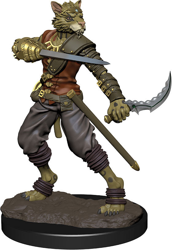 Dungeons & Dragons: Painted Miniatures - Tabaxi Rogue Male (W6)